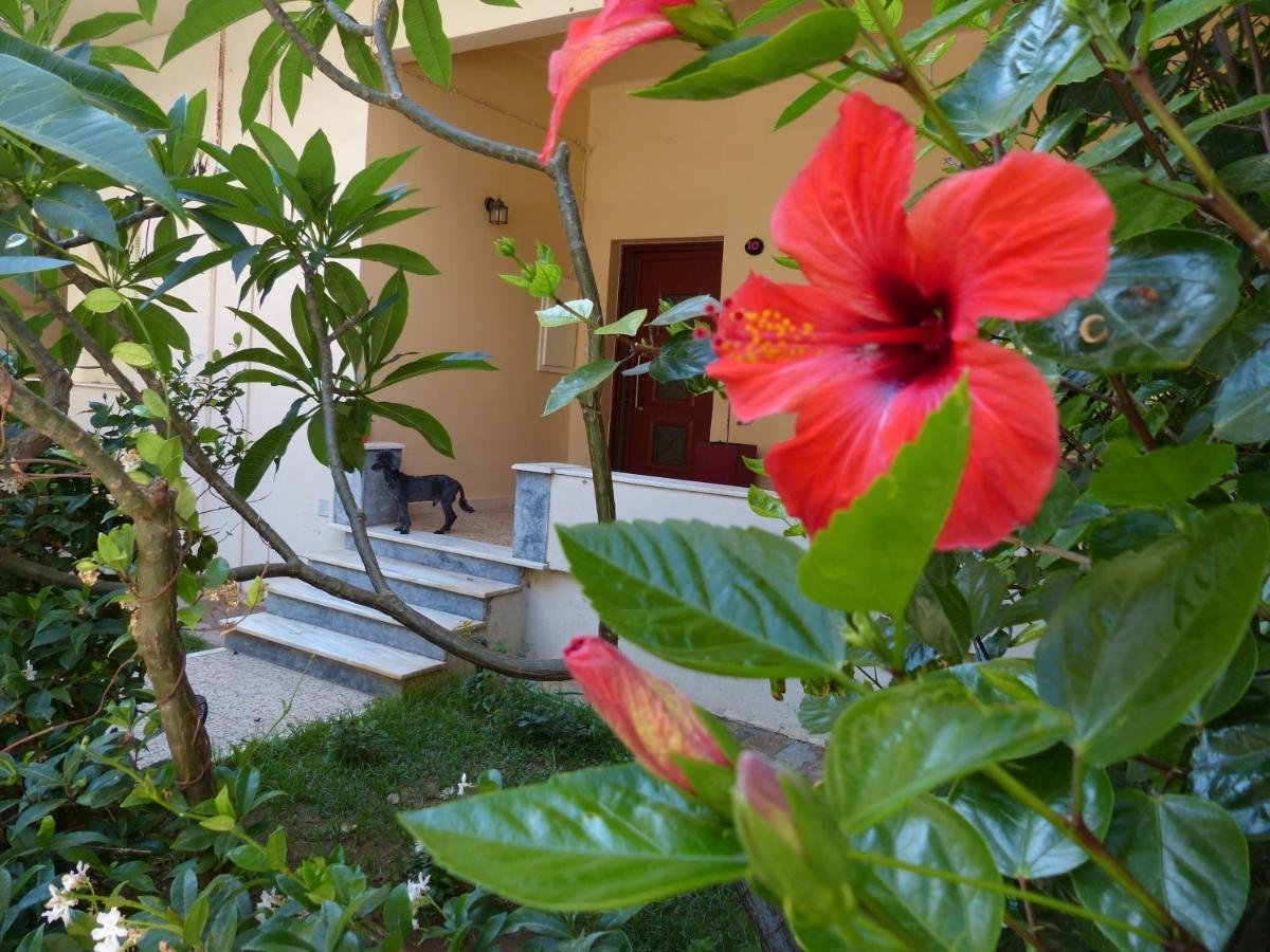 Avgi Garden House Chania With Private Entrance Extérieur photo