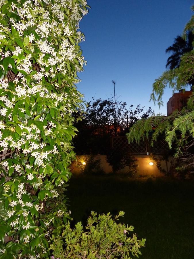 Avgi Garden House Chania With Private Entrance Extérieur photo